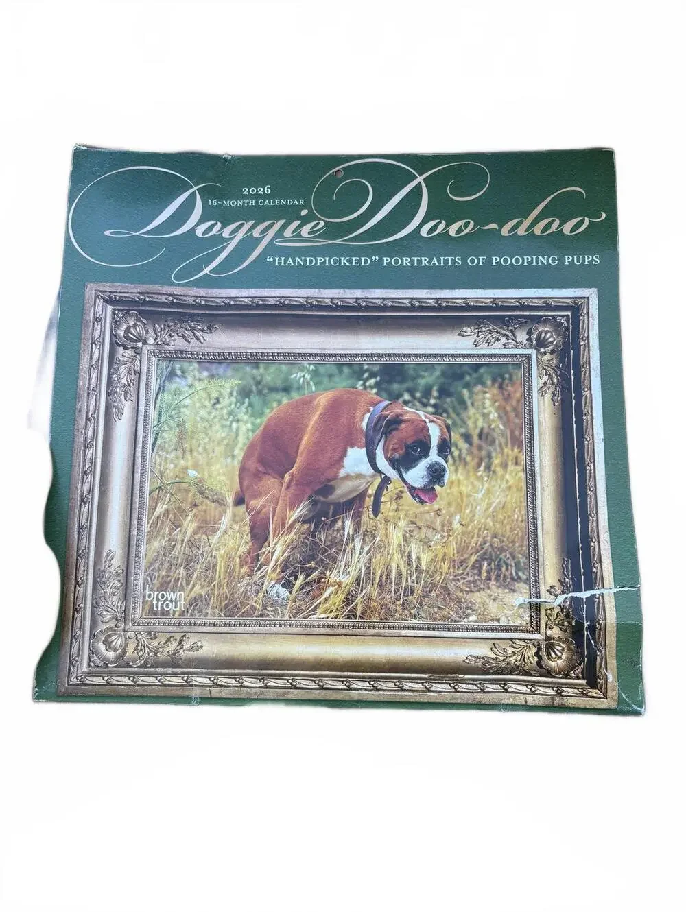 Doggie Doo-doo 2026 Wall Calendar Funny Pooping Dogs Humor Novelty New